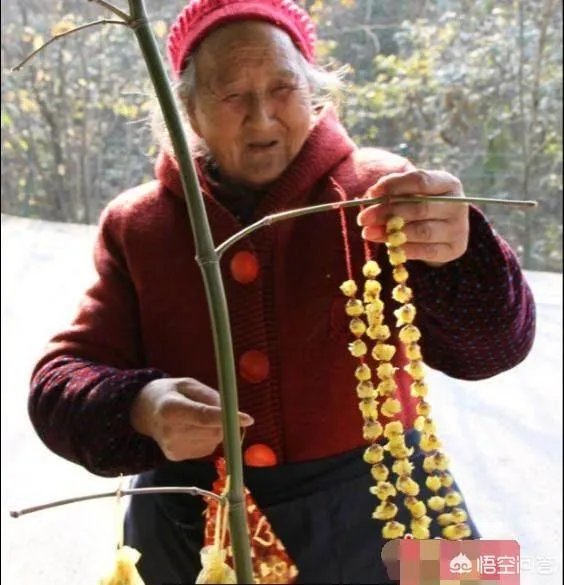 成都86岁“梅花婆婆”卖梅花，你觉得丢脸吗？