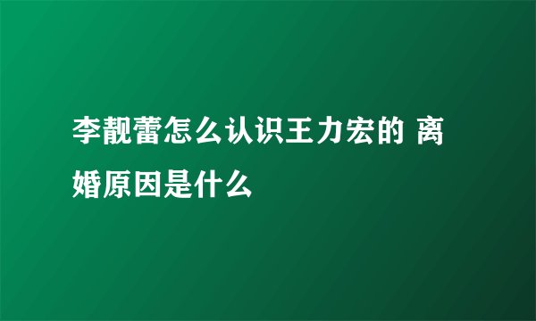 李靓蕾怎么认识王力宏的 离婚原因是什么