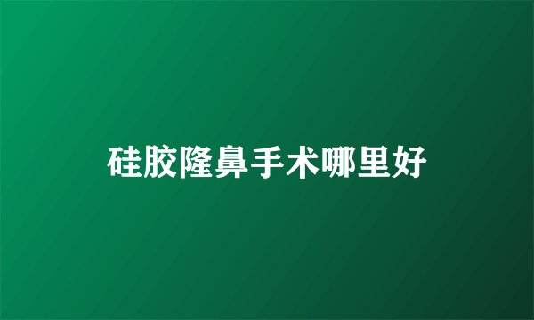 硅胶隆鼻手术哪里好