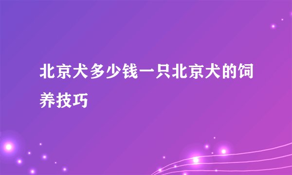 北京犬多少钱一只北京犬的饲养技巧
