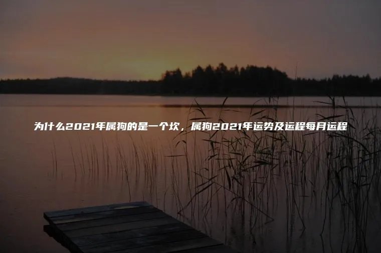 为什么2021年属狗的是一个坎，属狗2021年运势及运程每月运程