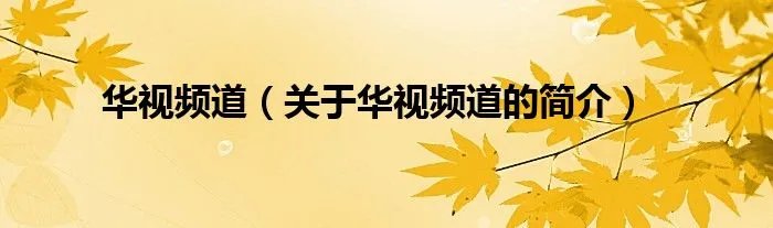 华视频道（关于华视频道的简介）