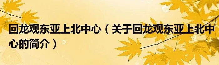回龙观东亚上北中心(关于回龙观东亚上北中心的简介)