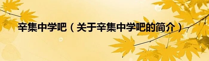 辛集中学吧（关于辛集中学吧的简介）