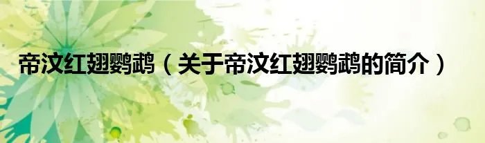 帝汶红翅鹦鹉（关于帝汶红翅鹦鹉的简介）