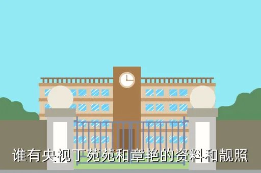 章艳简历，谁有央视丁苑苑和章艳的资料和靓照