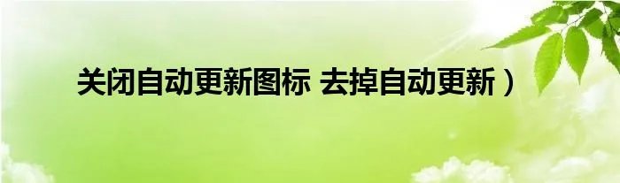 关闭自动更新图标 去掉自动更新）