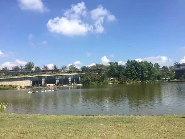 上海西沙湿地公园怎么样,好玩嘛?