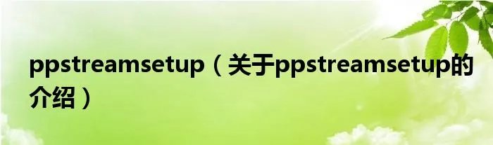 ppstreamsetup（关于ppstreamsetup的介绍）