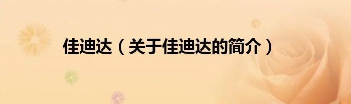 佳迪达（关于佳迪达的简介）