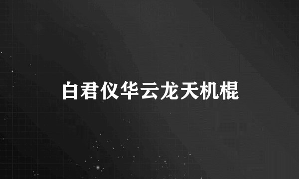 白君仪华云龙天机棍
