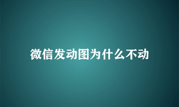 微信发动图为什么不动