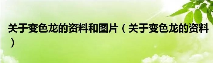关于变色龙的资料和图片（关于变色龙的资料）
