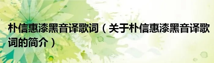 朴信惠漆黑音译歌词（关于朴信惠漆黑音译歌词的简介）