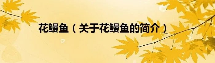 花鳗鱼（关于花鳗鱼的简介）