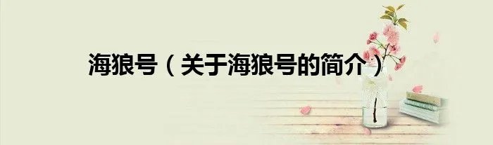 海狼号(关于海狼号的简介)