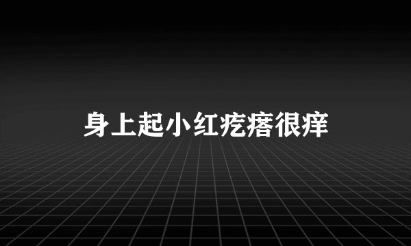 身上起小红疙瘩很痒