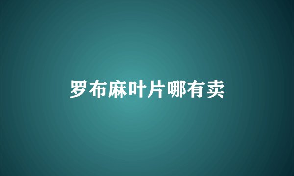 罗布麻叶片哪有卖