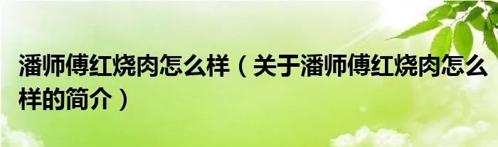 潘师傅红烧肉怎么样（关于潘师傅红烧肉怎么样的简介）