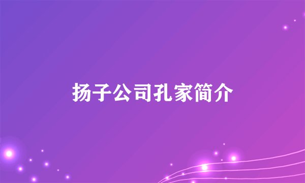 扬子公司孔家简介