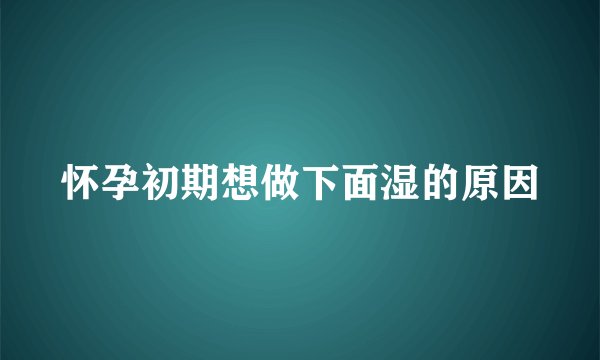 怀孕初期想做下面湿的原因