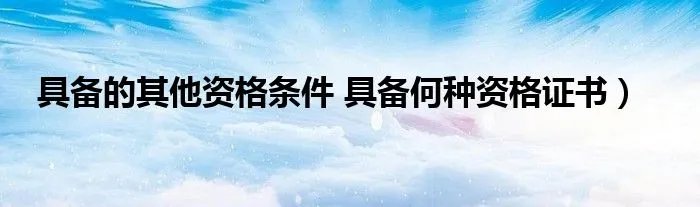 具备的其他资格条件 具备何种资格证书）