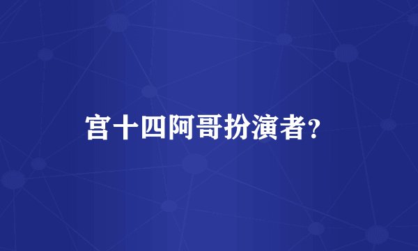 宫十四阿哥扮演者？