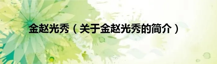 金赵光秀（关于金赵光秀的简介）
