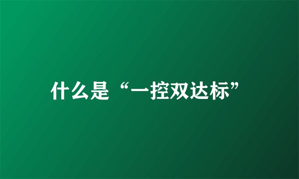 什么是“一控双达标”