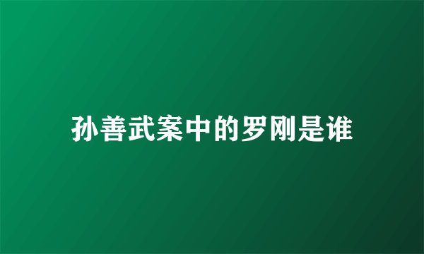 孙善武案中的罗刚是谁