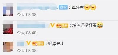 北京怀密线粉色系城际列车上线,网友对此有何评价?