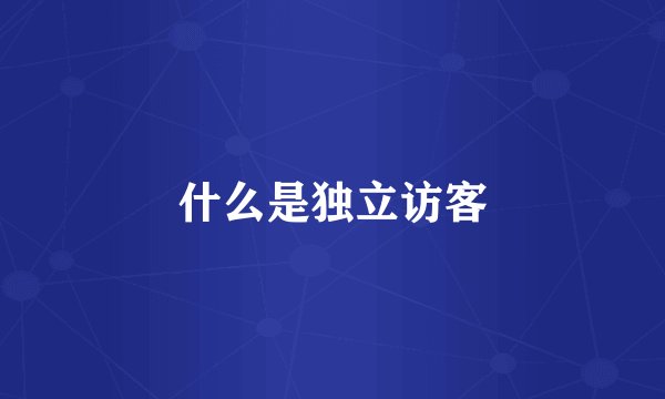 什么是独立访客