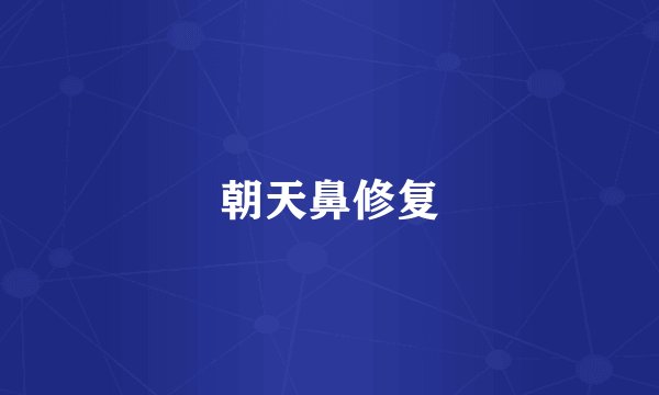 朝天鼻修复