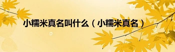 小糯米真名叫什么（小糯米真名）