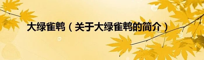 大绿雀鹎（关于大绿雀鹎的简介）