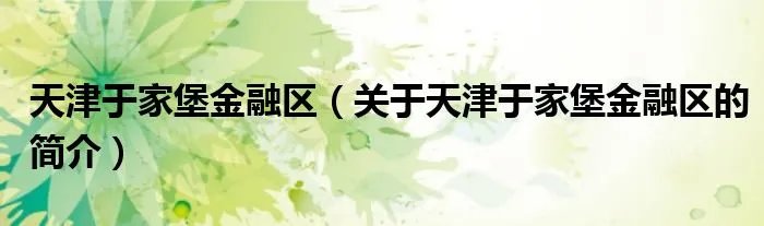 天津于家堡金融区（关于天津于家堡金融区的简介）