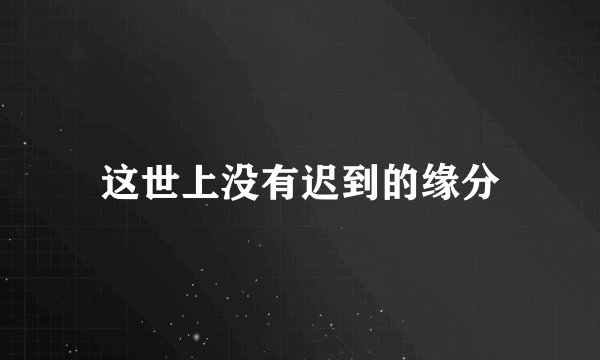 这世上没有迟到的缘分