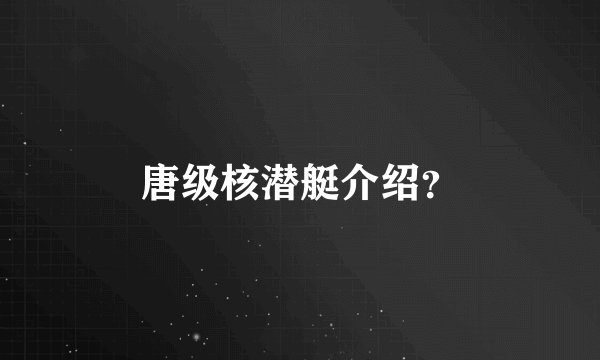 唐级核潜艇介绍？