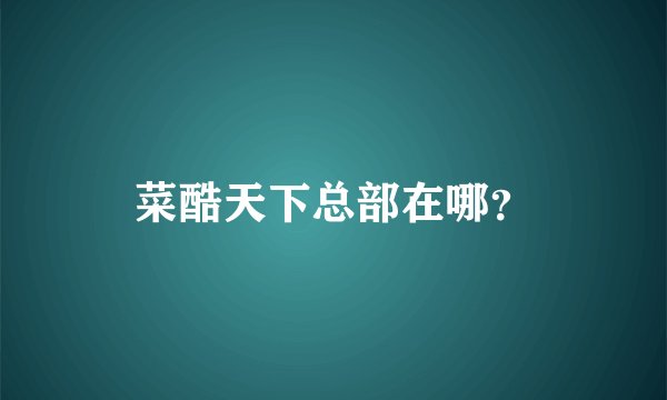 菜酷天下总部在哪？