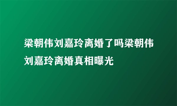 梁朝伟刘嘉玲离婚了吗梁朝伟刘嘉玲离婚真相曝光