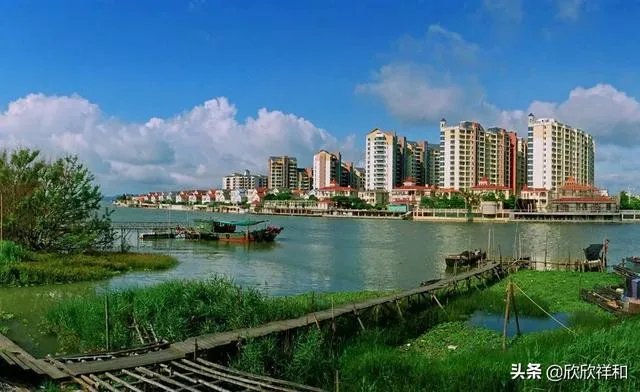深圳、厦门、大连三个城市,哪个城市不是经济特区?