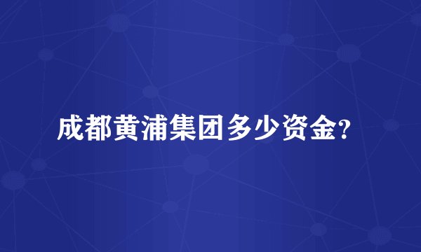 成都黄浦集团多少资金？