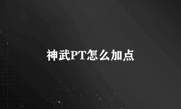 神武PT怎么加点