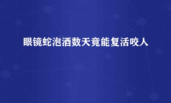 眼镜蛇泡酒数天竟能复活咬人