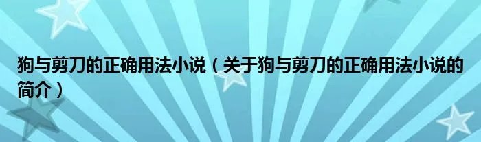 狗与剪刀的正确用法小说(关于狗与剪刀的正确用法小说的简介)