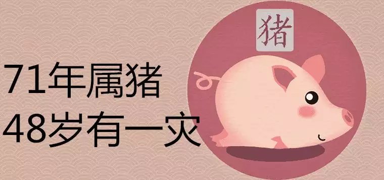 71年属猪48岁命运，1971年属猪是什么命 1971年出生人的命运