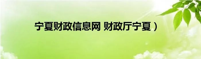 宁夏财政信息网 财政厅宁夏）