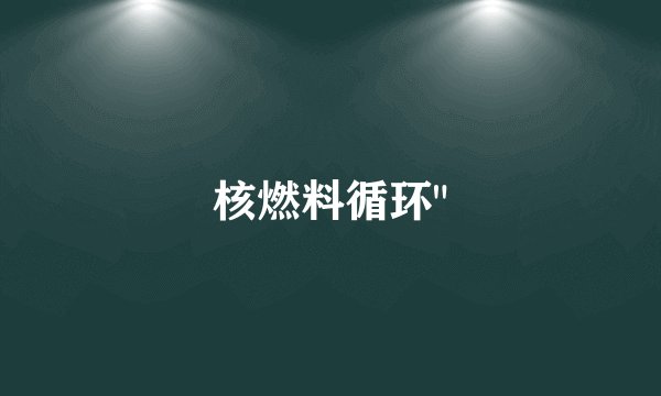 核燃料循环