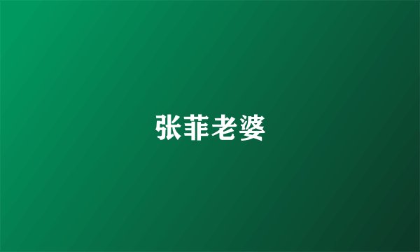 张菲老婆
