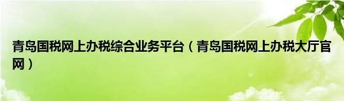 青岛国税网上办税综合业务平台（青岛国税网上办税大厅官网）
